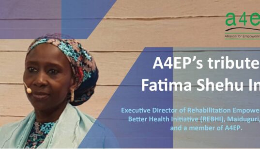 SMIプログラムThe Art of Empowering People　AEP Artist Empowerment Program - Intersection for the Arts